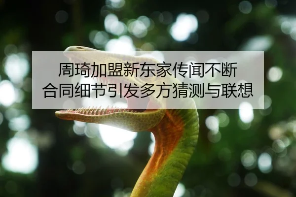 周琦加盟新东家传闻不断 合同细节引发多方猜测与联想